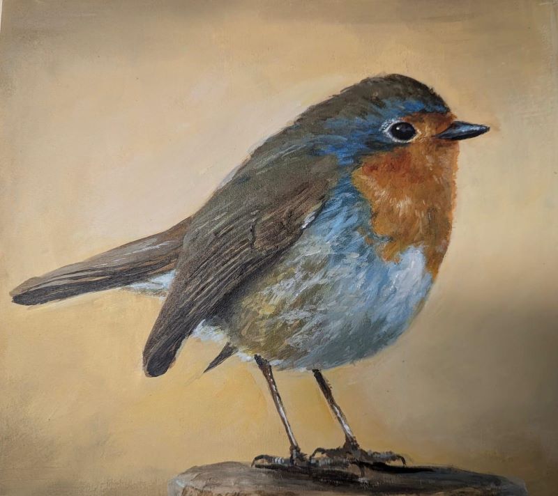 paint_robin